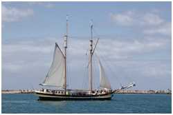 Gaffelschoner Zuiderzee