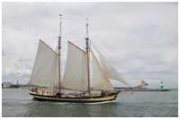 Gaffelschoner Zuiderzee