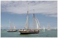 Gaffelschoner Zuiderzee