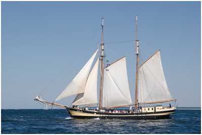 Gaffelschoner Zuiderzee