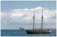 Hanse Sail 2016