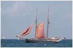 Hanse Sail 2019