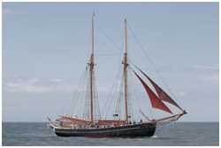 Hanse Sail 2019
