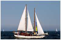 Stagsegelschoner Cementesse