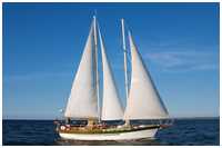 Stagsegelschoner Catharina