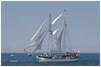 Stagsegelschoner Baltic Beauty
