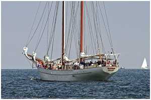 Stagsegelschoner Adornate