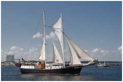 Hanse Sail 2021