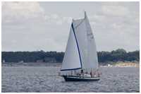 Hanse Sail 2021