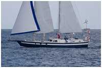 Hanse Sail 2021