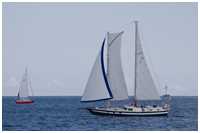 Hanse Sail 2021