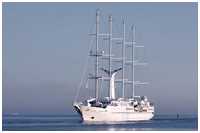 MSY Wind Spirit