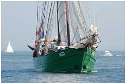 25. Hanse Sail Rostock vom 6.-9. Aug 2015