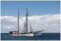 Hanse Sail 2016