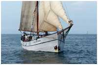 Hanse Sail 2011