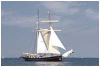 Toppsegelschoner Wylde Swan