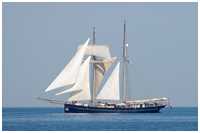 Toppsegelschoner Wylde Swan