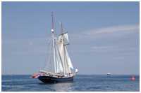 Toppsegelschoner Wylde Swan