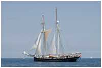 Toppsegelschoner Wylde Swan