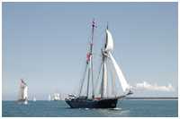 Toppsegelschoner Wylde Swan