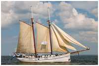 Gaffelschoner Flying Dutchman