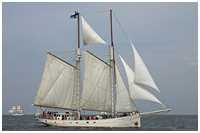 Logger Joanna Saturna