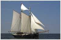 Logger Marie Galante