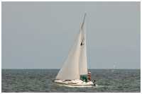 Bavaria 41