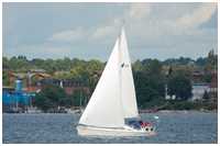 Bavaria 44