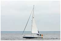 Bavaria 51