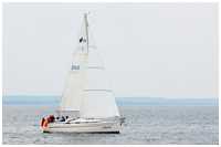 Bavaria 31