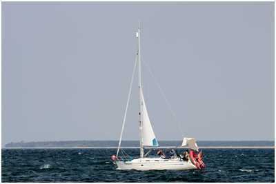 Bavaria 36