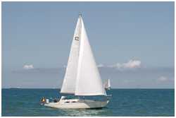 Commander 31