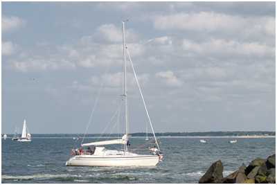 Dehler 31 Euro Edition