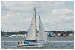 Elan 43