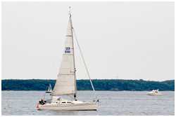Elan 31