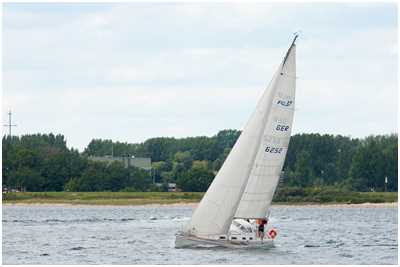 Finngulf 37