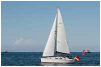Hanse 315