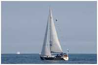 Hanse 411