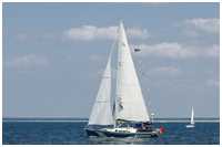 Hanse 411