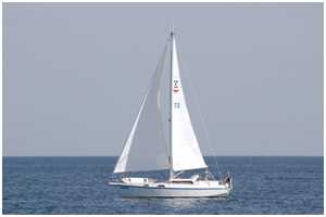Reinke 10M