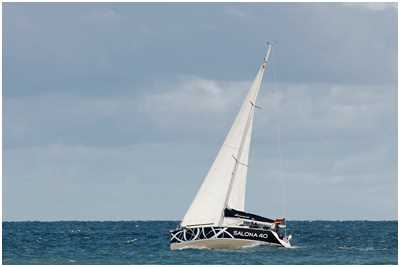 Salona 40