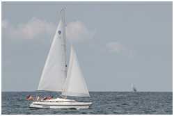 Sunbeam 33