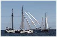 Hanse Sail 2017