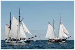 Hanse Sail 2015
