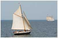 Gaffelkutter Hoffnung