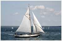 Gaffelkutter Hoffnung