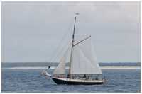 Gaffelkutter Hoffnung