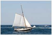 Gaffelkutter Hoffnung