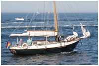 Gaffelkutter Hoffnung